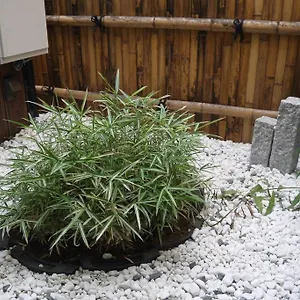 京都東寺えむず庵 京都市